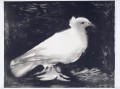 Dove bird black and white Picasso